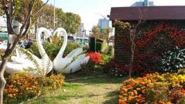 강남대로 추억의 간이역 보셨나요?