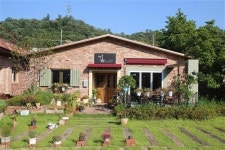 몸도 튼튼, 마음도 튼튼! 어린이 스포츠클럽 ‘주니짐’