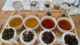 [한국 티소믈리에 연구원: 티 전문가 교실]티(TEA)에 대해 배우며 여유, 지혜, 소통도 배운다