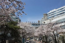 동네 도서관으로 떠나는 ‘책 소풍’_ 작가 만나고, 인문학 강의 듣고, 북아트 배우고