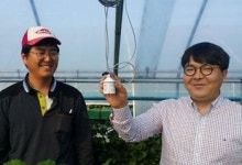 [한국형 스마트팜 어디까지 왔나│① 현대화된 온실·축산전업농 중심 확산] 시설원예 2.4%, 축산 0.1% … 출발 늦지 않았다