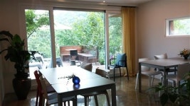 우리가 꿈꾸던 진짜 ‘힐링의 숲’