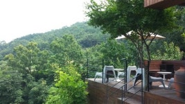 우리가 꿈꾸던 진짜 ‘힐링의 숲’