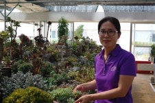 [인터뷰 _ 취미로 키우던 다육이 엄마에서 전문 재배자로 변신한 강서구 ‘명원다육’ 한인옥 대표]작은 다육식물도 정성을 다해 키우면 전문가... 