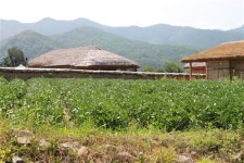 [쉼표가 있는 가족 여행-안동]