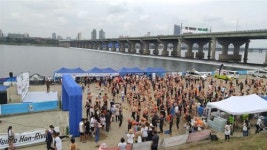 지역모임 <방배 수영모임 ‘보노보노’>