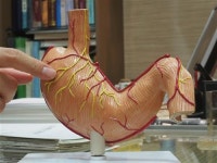 역류성 식도염을 일으키는 담적병, 원인은?