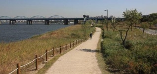 한강변에서 갈대·단풍 보며 걸어요