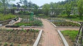 [우리 아파트를 소개합니다 ②  광교마을 40단지]이웃과 이웃을 더욱 돈독하게,