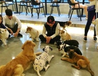 “우리 집 강아지도 달라질 수 있을까?”