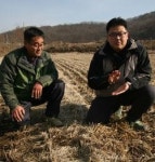 [두루미와 공생 모색하는 철원평야 농민들] 철새 서식지 잘 만들어주면 AI 걱정 없어요