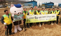 나무심는 돼지농장 420곳으로 늘었다