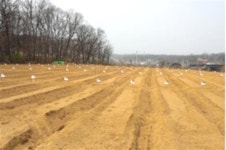 [2017년 우리 지역에서 이용 가능한 주말농장 알아보기]가족과 함께 직접 친환경 농작물 키워 봐요~