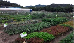 [2017년 우리 지역에서 이용 가능한 주말농장 알아보기]가족과 함께 직접 친환경 농작물 키워 봐요~