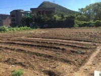 [2017년 우리 지역에서 이용 가능한 주말농장 알아보기]가족과 함께 직접 친환경 농작물 키워 봐요~
