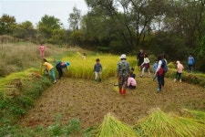 [우리동네 어린이