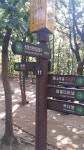 2017 분당·용인 봄맞이 산행 기획
