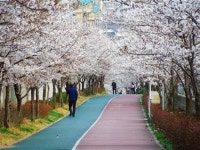아산시의 인기 많은 자전거도로 주요 라이딩 코스