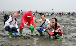 [기획│지자체 관광정책 체질을 바꾸자] 지역마다 잘 지켜온 자연·문화가 최고의 관광자원