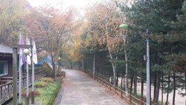 [2017 분당·용인 캠핑시즌 기획]하늘 아래, 별 아래서 즐기는 캠핑의 참맛