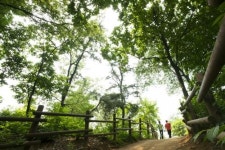 초여름 부천 나들이 코스 여기