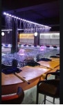 [반려동물과 입장 가능한 우리 동네 카페]“헤이~ 멍과 야옹이, 우리 심심한데 데이트나 할까?”