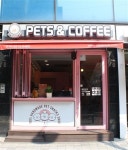 [반려동물과 입장 가능한 우리 동네 카페]“헤이~ 멍과 야옹이, 우리 심심한데 데이트나 할까?”