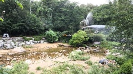 [아름답고 놀기 좋은, 우리지역 계곡을 소개합니다!]막바지 무더위, 시원한 계곡 물에 날려버리자~