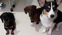 가장 필요한 순간, ‘말순이네’가 달려갑니다~