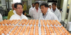 농식품부, 내년 예산 14조5천억원 편성