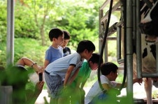 [분당·용인에서 즐기는 체험 농장]온 가족이 함께 가을의 매력에 빠져볼까