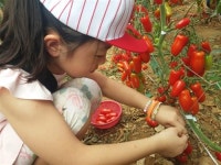 [우리 동네 가을수확 체험농장 안내]“단풍보다 가을걷이! 우리 수확하러 가요!”