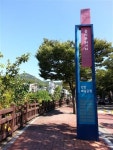[걷기 좋은 안양의 가을길]붉게 물들어가는 나무와 도시가 어우러진 풍경 이래서 안양이 좋다!