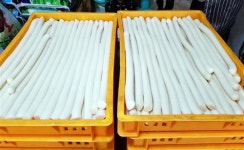 [우리 동네 소문난 떡집]“떡 사세요~” 설 명절 떡, 어디서 살까?