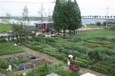 [우리 동네 주말농장 텃밭 분양 안내]자연과 만나는 공간, 텃밭에서 힐링하세요!