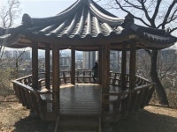 [안양지역, 걷기 좋은 길 특집!]봄바람 맞으며 나선 둘레길 산책, 나도 걸어볼까?