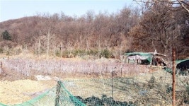 판교 제2, 제3 테크노밸리 인근 금토동 필지 매각중