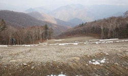 방치되는 가리왕산, 복원 서둘러야