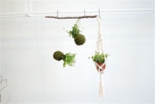 [분당·용인에서 홈 가드닝 배우기]계절을 담은 나의 작은정원