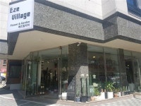 [농장직영 실내가드닝 전문 에즈 빌리지(Eze Village)]착한 가격으로 건강한 반려식물 분양하세요