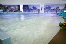 [신나는 여름, 도심 속 힐링 타임]우리 지역 수영장에서 휴식 즐겨요~