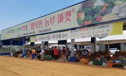 [의왕시 농산물 직거래 장터를 가다!]지역 농부들이 생산한 신선한 농산물이 가득~