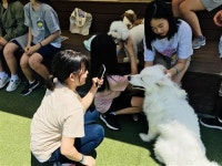 [탄현청소년문화의 집 진로 탐색 프로그램 ‘내 꿈은 동사다’]“진로에 대해 다양하게 생각하고 나를 발견하는 시간 되었죠!”