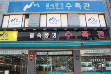 어디에도 없는 물속풍경 구경하러 오세요~