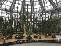 [경기도농업기술원 ‘선인장다육식물연구소’]다채로운 선인장과 다육식물 관람하는 재미 쏠쏠