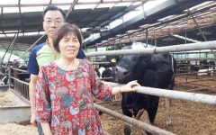 [무허가축사 적법화 현장 가보니] 유치원 가깝다고 농장 폐쇄하라는 악법