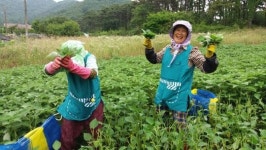 농사 짓고 싶어도 기반 없는 사람 돕는다