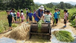 [우리 동네 농촌체험농장을 소개합니다]“가을은 수확의 계절, 농장으로 가을소풍 떠나요!”