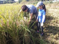 [우리 동네 농촌체험농장을 소개합니다]“가을은 수확의 계절, 농장으로 가을소풍 떠나요!”