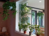 사랑스러운 채식 요리로 건강과 맛 모두 만족